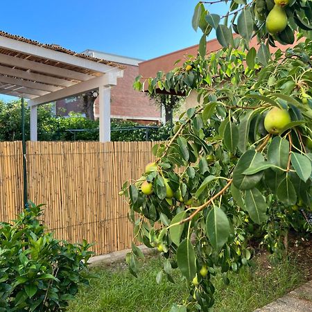 Civiconove Apartment Piombino Ngoại thất bức ảnh